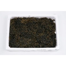 청정 완도 바다해초 생톳 3kg, 1개