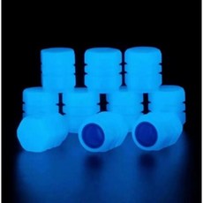 모토로이 야광 타이어 밸브캡, 10개, 블루