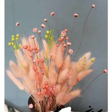 天然乾燥兔尾草粉色花束，客廳裝飾壓花DIY材料，網紅輕奢風擺件拍攝道具, 粉色兔尾約55+粉相思豆+小星花無瓶