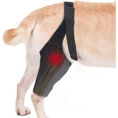 강아지 다리 보호대 보조기 부상 개 무릎 조절 가능 측면 안정기 포함 슬리브 더 나은 회복을 위한 ACL 십자인대 인대 애완동물 액세서리 3사이즈, 강아지 다리 보호대 보조기 부상 개 무릎 조절 가능 측