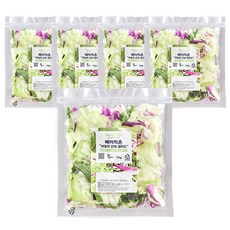 베이직온 진공포장 탄산 세척 샐러드 소스증정, 70g, 5개