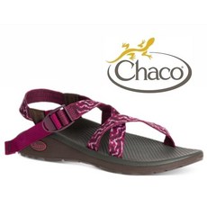 台灣黑熊 美國Chaco 女 Z/CLOUD 越野紓壓運動涼鞋-標準款 水陸鞋 戶外涼鞋 CH-ZLW01, US6 = 23cm