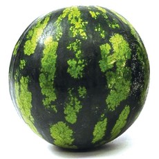 당도선별 수박 하우스, 1개, 5kg~6kg