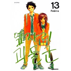 (로비코그림) 옆자리 괴물군 13 -완결, 대원씨아이(만화)