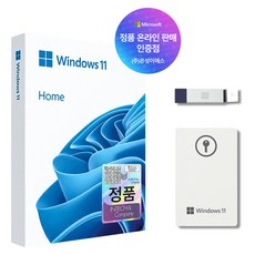 [한국MS정품인증점] 윈도우 11 Windows Home FPP 처음사용자용 USB 영구 버전 제품키, HAJ-00095