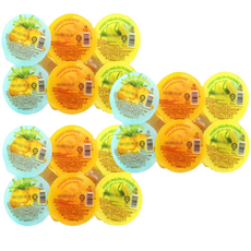 [오키오] 코쿤 트로피칼 푸딩, 118g, 18개