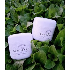 슬다온 홍조 진정 보습 올인원 크림 3개 리프팅 세라마이드 PDRN EGF, 50ml
