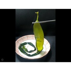 海帶王子 鹽漬小海帶苗, 600g, 1套