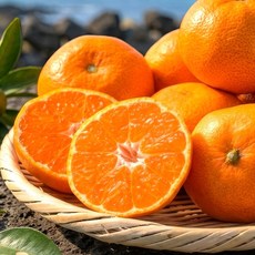 [한정초특가] 최대17Brix 산지직송 제주 천혜향, 1박스, 3kg