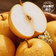 솔이네 달콤아삭 명품 프리미엄 배, 1개, 정품 나주배 5kg 중과 (12과 내외)
