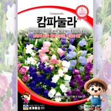 남흥원예사 캄파눌라 500립 원예 관상 조경 화단 용 꽃 씨 씨앗 종자 세계종묘, 1개