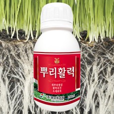 비료나라 중앙프라자 뿌리활력 뿌리영양제 고추뿌리 활착 발근 수세회복 장마 미량요소 복합비료 수용성붕소 수용성몰리브덴, 3개