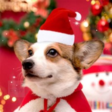 [다믿샵] 반려동물 모자 애견옷, 트리모자