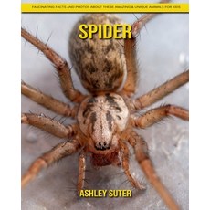Spider: Fascinating Facts and Photos about These Amazing & Unique Animals for Kids Paperback, Independently Published