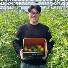 GAP 부산 대저 짭짤이 짭짜리 토마토 2.5kg, 1박스, 2S-S 가정용 2.5kg