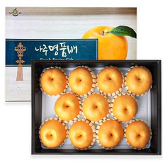 스마일프레쉬 맛있는 나주배 신고배 과일 배 선물세트, 1개, 나주배 5kg 특품 선물용(9-12과)
