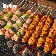 캠핑 숯불구이 닭다리 순살 닭꼬치 파닭 야키토리 750g(데리야끼소스 3개증정), 순살 닭꼬치 750g
