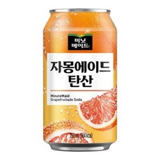 미닛메이드 자몽에이드 탄산 355mlx24캔 1(개) 4882, 1개, 355ml