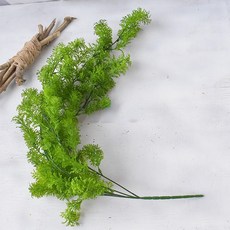 仿真鳥窩草壁掛 綠色植物壁飾 苔蘚藤條藤蔓葉子 香草壁掛 仿真綠植裝飾 園藝裝飾, 綠色, 1個