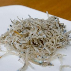 완도 세멸치 100g 해산물 바다 해물 씨푸드, 단일 수량, 1