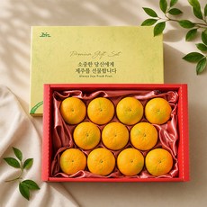 이제주 과즙가득 황금향 선물세트 2.5kg 16과 내외 보자기포장, 1세트