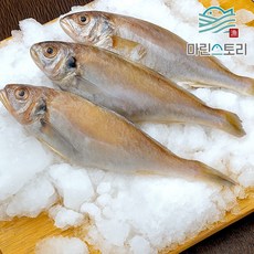 국내산 자연산 백조기 냉동 조기 제수용 제사 차례용 2kg (특대 중대 소), 1개, 특대