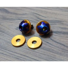 POSH PK7 正鈦合金 派大星螺絲 全手工燒色, 原色,M6X15mm, 1個