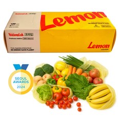 유정랩 프라임 신선유지 항균 위생백 중형 25 X 37cm 100매 항균 그린백 야채 소분 과일 보관 냉장고 정리, 중(M), 100개, 1개