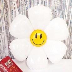 조은두리 꽃풍선 스마일데이지 중형