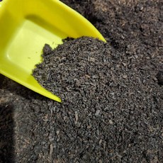 P老闆水族 大兜土 散裝 兜 鍬 大兜土 獨角仙 鍬形蟲 兜蟲 甲蟲 產卵 飼養專用, 1個, 500G