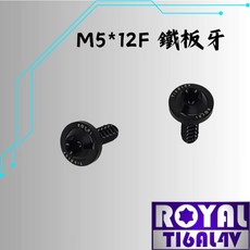 ROYAL 鈦合金螺絲 M5*12F 鐵板牙 飛碟頭 帝王黑, 1個