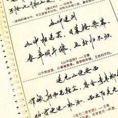 古詩詞鋼筆硬筆臨摹字帖 練唐詩宋詞行草字帖, 1個, 字帖+技法心得+紙+美工鋼筆+褪色筆,臨摹紙約100張/贈送書籤和曲別針