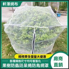 防蟲紗網 加厚防蟲網 大棚農用尼龍網 養殖網 果樹網 防護網, 1個, 口袋型2米X2米