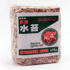 칠레산 수태 75g-물이끼 풍난 토피어리 난재배용, 2개