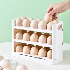 雞蛋收納盒冰箱側門專用可翻轉廚房保鮮食品級雞蛋架托裝放雞蛋盒, 1個, 如图所示393