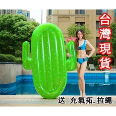 快樂星球 仙人掌充氣浮排 水上漂浮氣墊 造型泳圈 夏日戲水必備, 1個