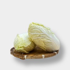 애초야 품질 알배기 알배추 쌈배추 배추 산지직송 당일경매 당일수확 제철 신선한채소 국내산 1통 2통, (국내산)알배기 1개