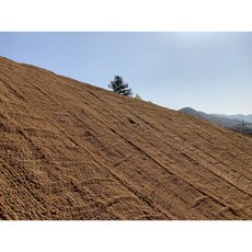 코아네트 코어네트 72줄 2m*20m 코아네트 코어네트, 1개