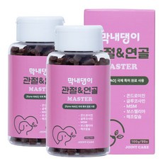 강아지 관절영양제 고함량 슬개골 탈구 예방 콘드로이친 막내댕이 관절&연골 마스터 100g, 2개, 뼈/관절강화, 99정