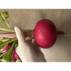 제주생산 복숭아 순무 (모모노스케) 소화효소 피로회복 콜레스테롤, 1개, 5kg