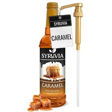 피칸 맛 시럽 음료 라떼 및 751.2ml(25온스) 디저트용 포함 펌프, Caramel, 25.4 Fl Oz (Pack of 1), 1, 750ml