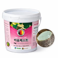 독일제 바움 페스트 나무 상처 치료제 수목 톱신 연고 보호제 소나무 도포제 분재, 1kg, 1세트