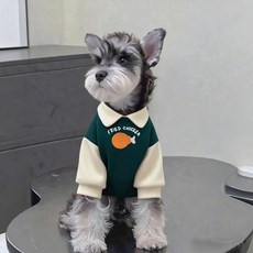 寵物翻領拼色加絨衛衣 - 韓國網紅猫咪小狗秋冬服飾, 酒紅色，S[2-3斤]×1個