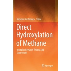 Direct Hydroxylation of Methane: Interplay Between Theory and Experiment Hardcover, Springer, English, 9789811569852
