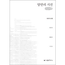 양만리 시선(큰글씨책), 지식을만드는지식, 양만리 저/이치수 역