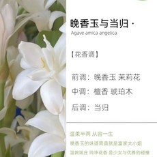 香薰擴香瓶 高級擴香 室內香氛 聖誕樹款 無火香薰 臥室 家用 空氣清新 禮盒 擺件 裝飾, 1個, 晚香玉與噹歸