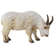 collectA 動物模型 山羊 塑膠模型 玩具兄妹 開發票, 1個