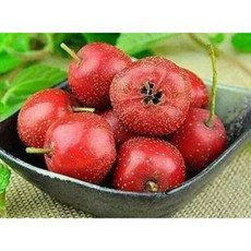 仙楂果露 山楂樹下 酸甜好味道, 1個, 2.5L