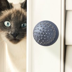 셀프그루밍벽부착형브러시 고양이브러시