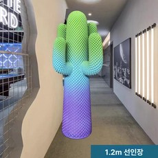선인장 대형 매장용 디자인 행어 1.5m 가게 옷 행거, 퍼플 레드